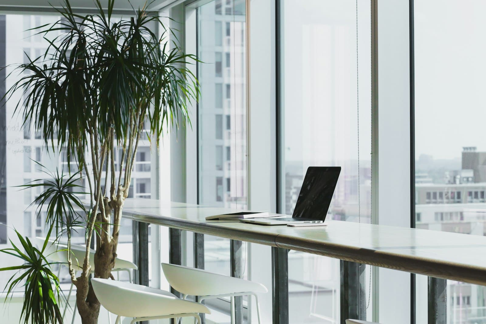 Modern software office in Lahore